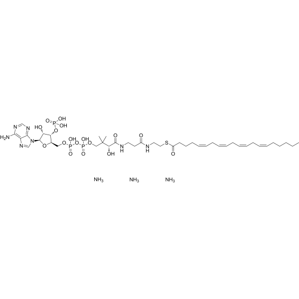 Arachidonoyl CoA triammonium